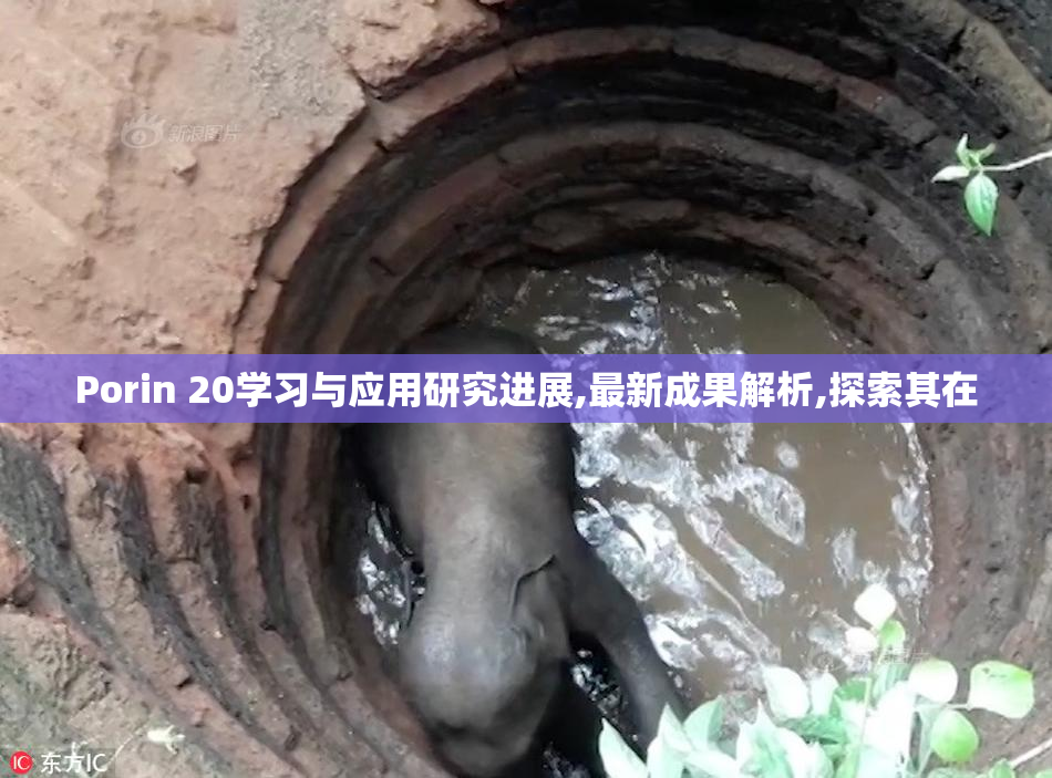 Porin 20学习与应用研究进展,最新成果解析,探索其在