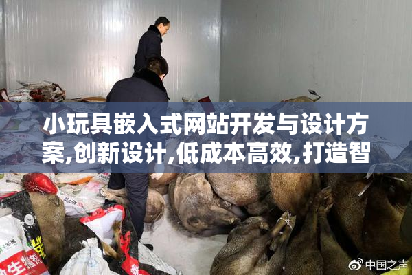 小玩具嵌入式网站开发与设计方案,创新设计,低成本高效,打造智能