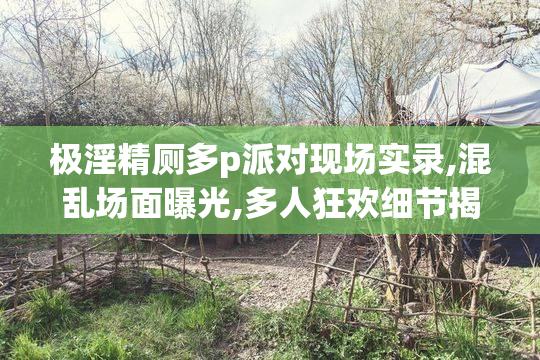 极淫精厕多p派对现场实录,混乱场面曝光,多人狂欢细节揭秘