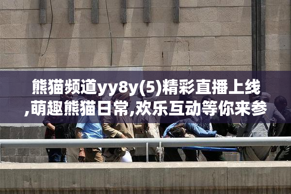 熊猫频道yy8y(5)精彩直播上线,萌趣熊猫日常,欢乐互动等你来参与