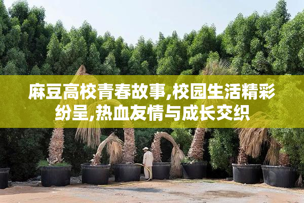 麻豆高校青春故事,校园生活精彩纷呈,热血友情与成长交织