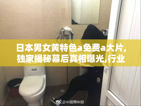 日本男女黄特色a免费a大片,独家揭秘幕后真相曝光,行业