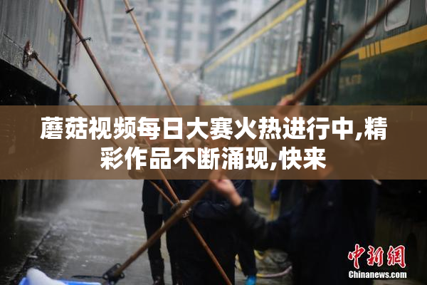 蘑菇视频每日大赛火热进行中,精彩作品不断涌现,快来