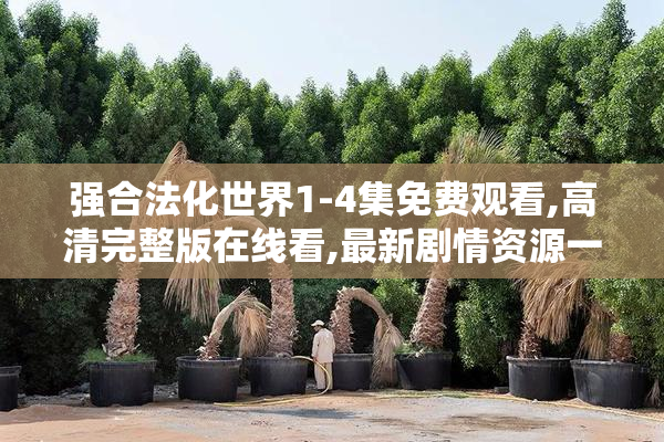 强合法化世界1-4集免费观看,高清完整版在线看,最新剧情资源一键获取