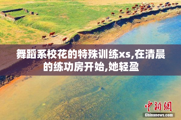 舞蹈系校花的特殊训练xs,在清晨的练功房开始,她轻盈
