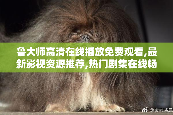 鲁大师高清在线播放免费观看,最新影视资源推荐,热门剧集在线畅享