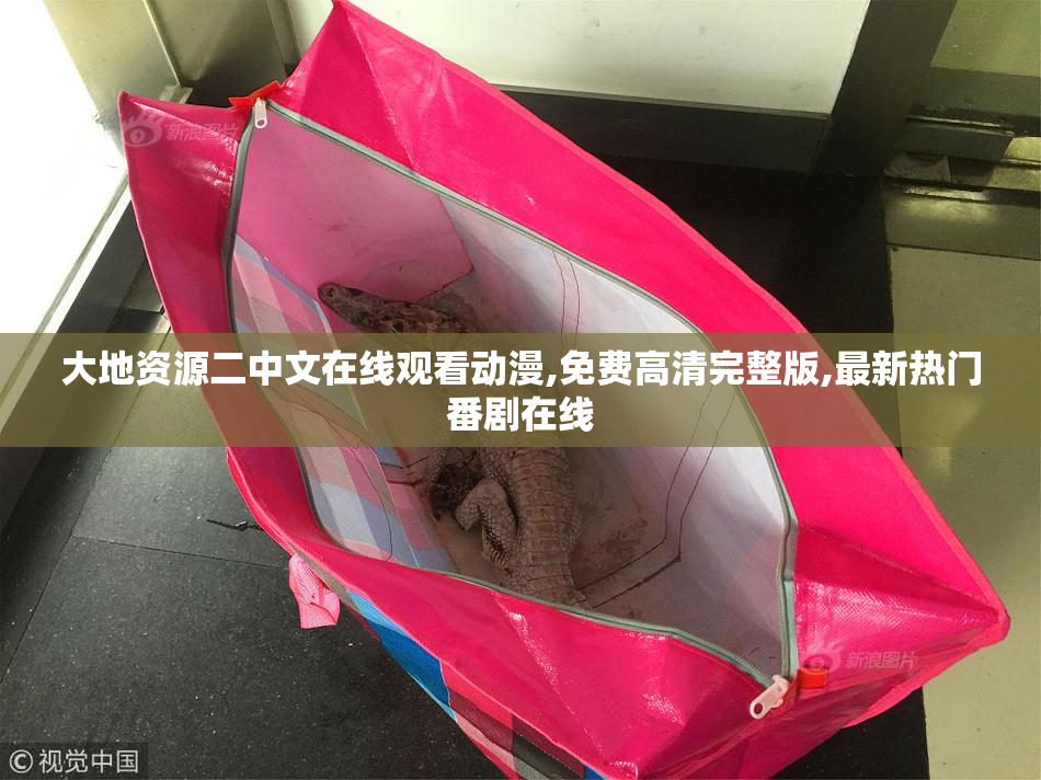 大地资源二中文在线观看动漫,免费高清完整版,最新热门番剧在线