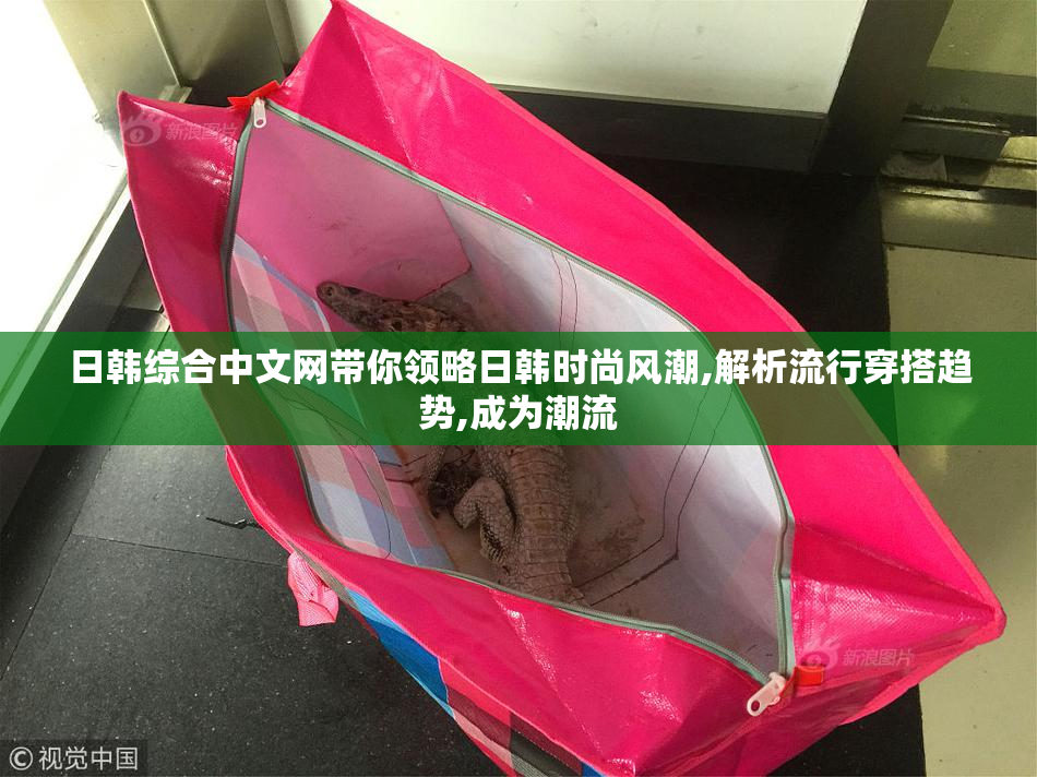 日韩综合中文网带你领略日韩时尚风潮,解析流行穿搭趋势,成为潮流