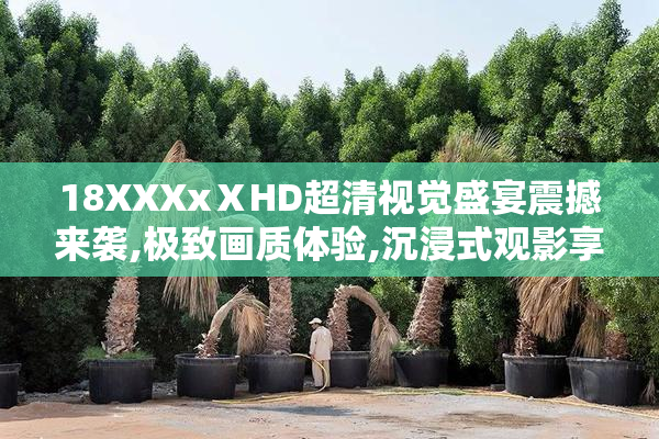 18XXXxⅩHD超清视觉盛宴震撼来袭,极致画质体验,沉浸式观影享受