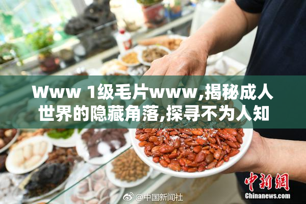 Www 1级毛片www,揭秘成人世界的隐藏角落,探寻不为人知