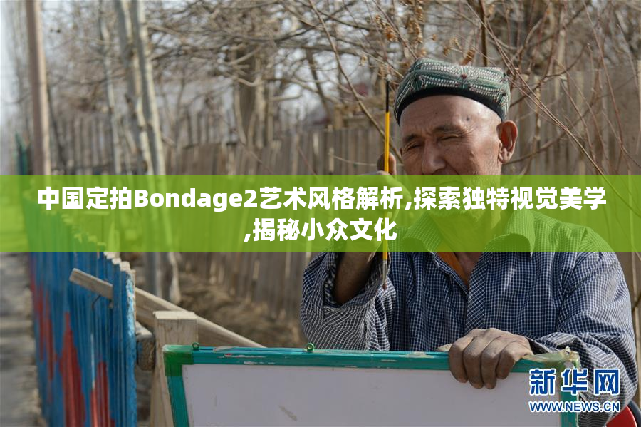 中国定拍Bondage2艺术风格解析,探索独特视觉美学,揭秘小众文化