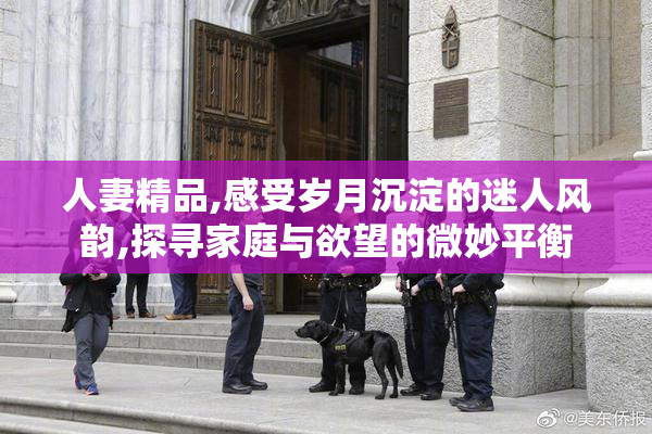 人妻精品,感受岁月沉淀的迷人风韵,探寻家庭与欲望的微妙平衡