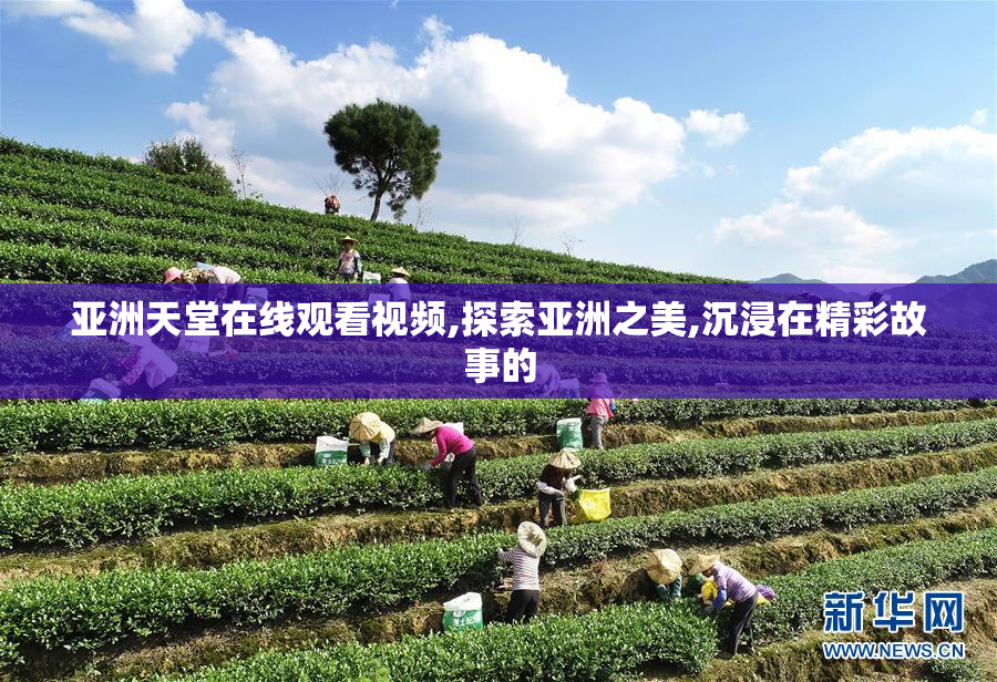 亚洲天堂在线观看视频,探索亚洲之美,沉浸在精彩故事的