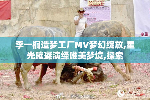李一桐造梦工厂MV梦幻绽放,星光璀璨演绎唯美梦境,探索