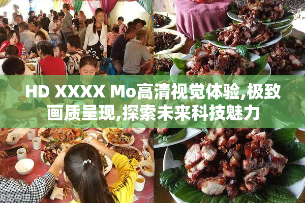 HD XXXX Mo高清视觉体验,极致画质呈现,探索未来科技魅力