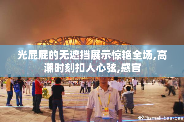 光屁屁的无遮挡展示惊艳全场,高潮时刻扣人心弦,感官