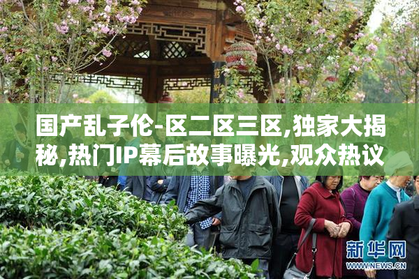 国产乱子伦-区二区三区,独家大揭秘,热门IP幕后故事曝光,观众热议