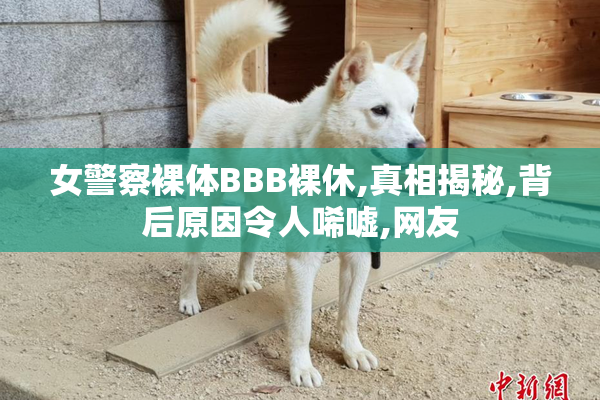 女警察裸体BBB裸休,真相揭秘,背后原因令人唏嘘,网友