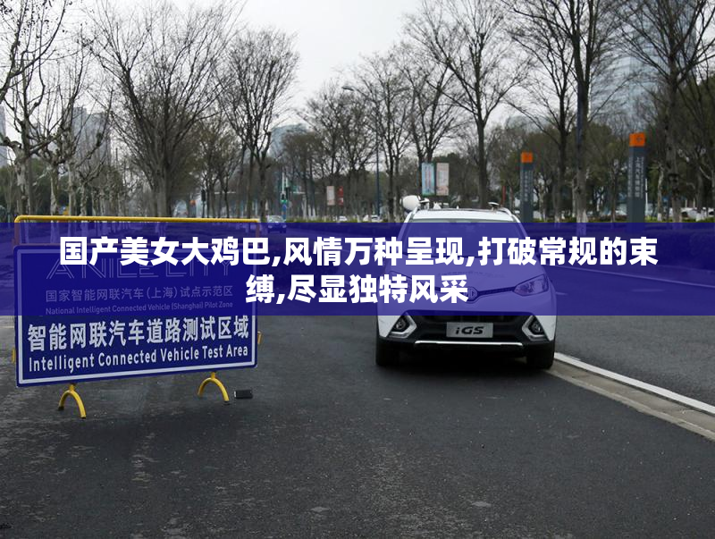 国产美女大鸡巴,风情万种呈现,打破常规的束缚,尽显独特风采