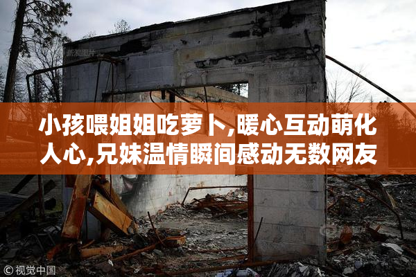小孩喂姐姐吃萝卜,暖心互动萌化人心,兄妹温情瞬间感动无数网友