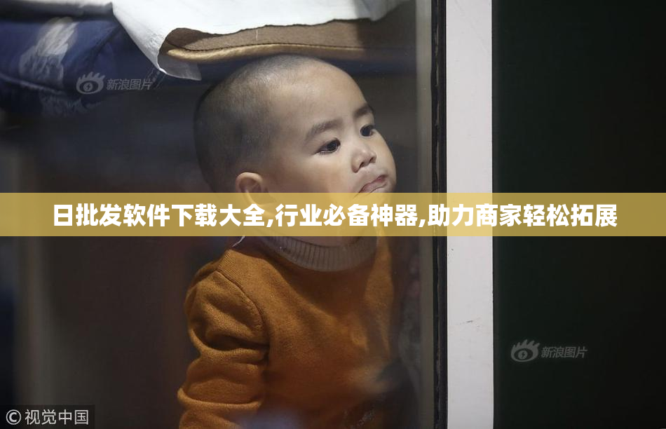 日批发软件下载大全,行业必备神器,助力商家轻松拓展