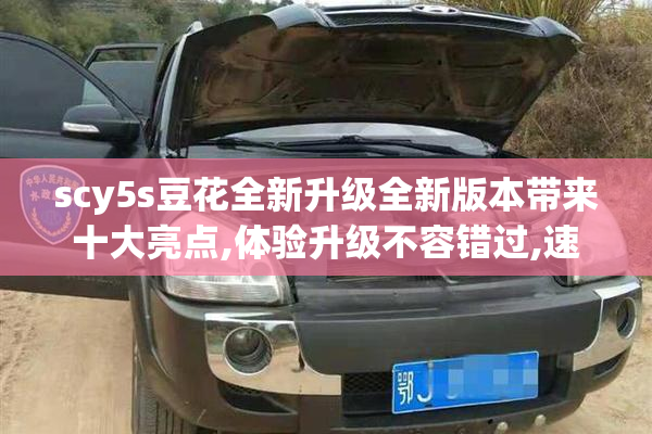 scy5s豆花全新升级全新版本带来十大亮点,体验升级不容错过,速