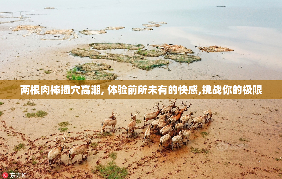 两根肉棒插穴高潮, 体验前所未有的快感,挑战你的极限