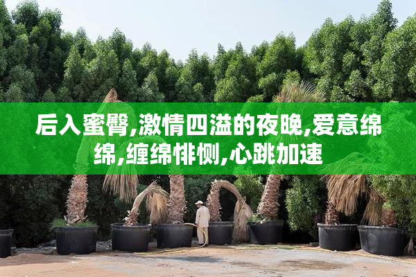 后入蜜臀,激情四溢的夜晚,爱意绵绵,缠绵悱恻,心跳加速