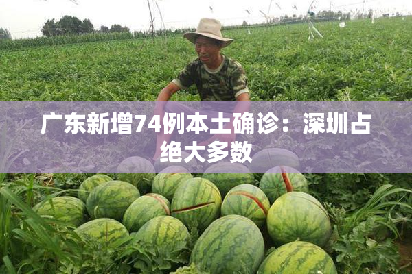 广东新增74例本土确诊：深圳占绝大多数