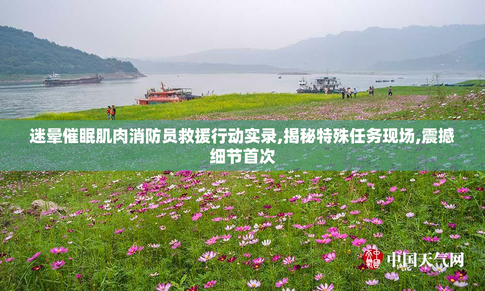 迷晕催眠肌肉消防员救援行动实录,揭秘特殊任务现场,震撼细节首次