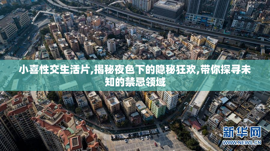 小喜性交生活片,揭秘夜色下的隐秘狂欢,带你探寻未知的禁忌领域