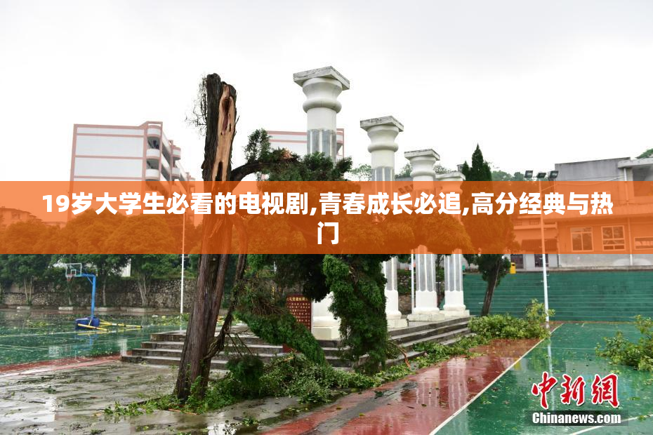 19岁大学生必看的电视剧,青春成长必追,高分经典与热门