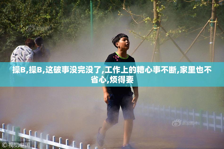 操B,操B,这破事没完没了,工作上的糟心事不断,家里也不省心,烦得要