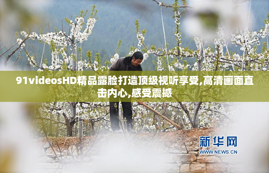 91videosHD精品露脸打造顶级视听享受,高清画面直击内心,感受震撼