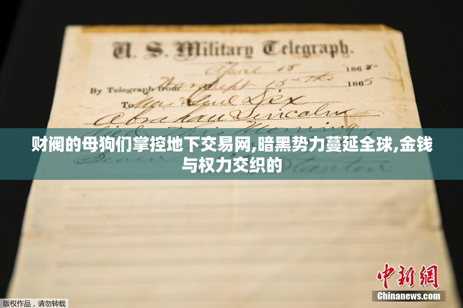 财阀的母狗们掌控地下交易网,暗黑势力蔓延全球,金钱与权力交织的