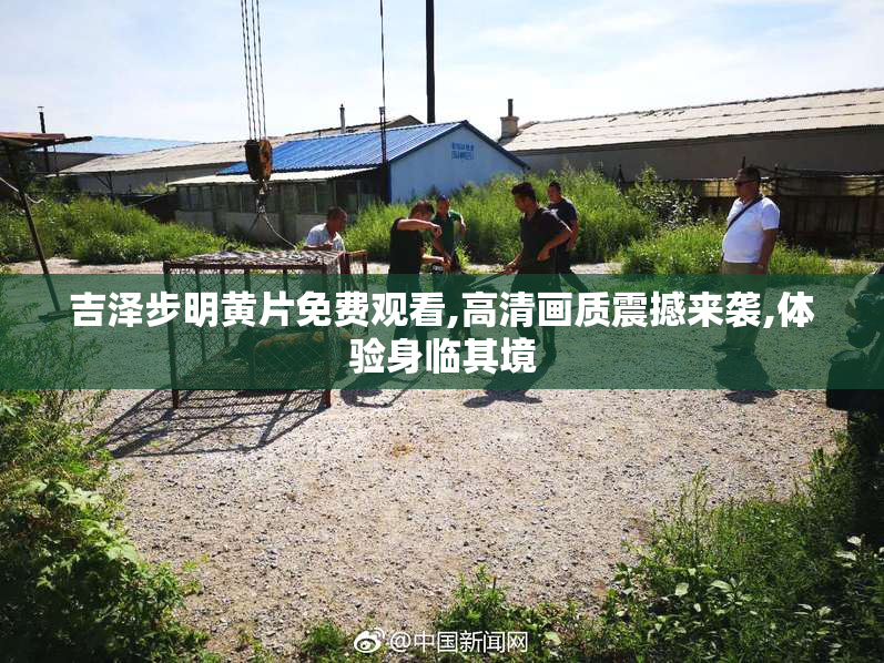 吉泽步明黄片免费观看,高清画质震撼来袭,体验身临其境