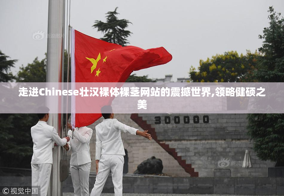 走进Chinese壮汉裸体裸茎网站的震撼世界,领略健硕之美