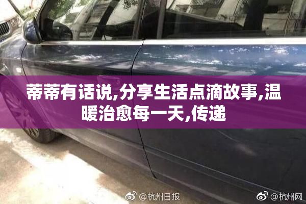 蒂蒂有话说,分享生活点滴故事,温暖治愈每一天,传递