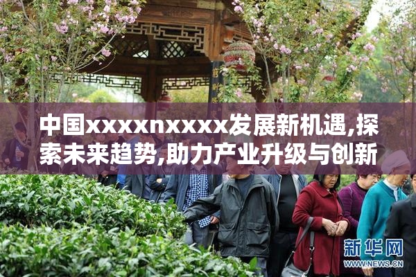 中国xxxxnxxxx发展新机遇,探索未来趋势,助力产业升级与创新突破
