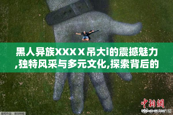 黑人异族XXXⅩ吊大i的震撼魅力,独特风采与多元文化,探索背后的