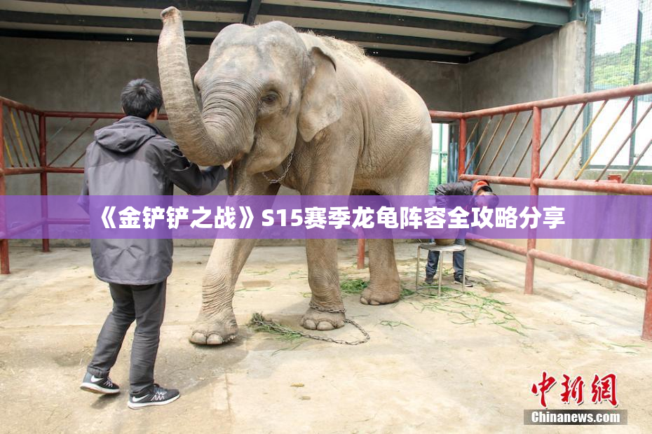 《金铲铲之战》S15赛季龙龟阵容全攻略分享