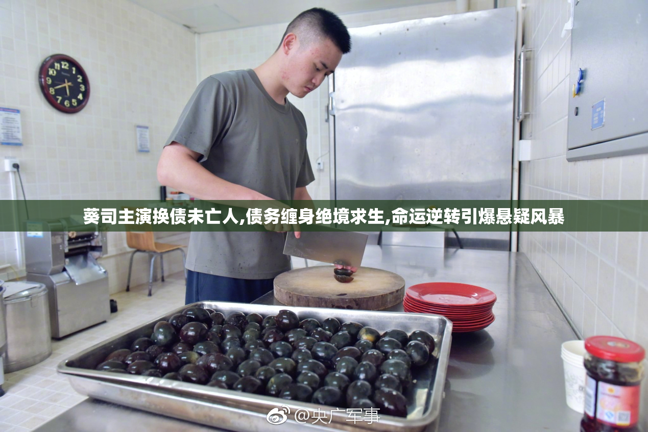 葵司主演换债未亡人,债务缠身绝境求生,命运逆转引爆悬疑风暴