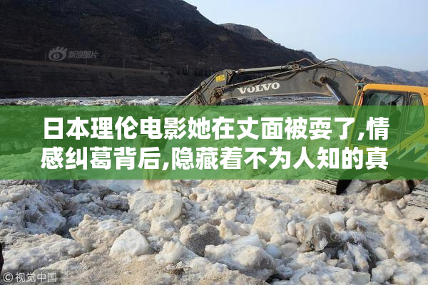 日本理伦电影她在丈面被耍了,情感纠葛背后,隐藏着不为人知的真相