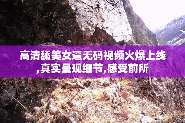 高清舔美女逼无码视频火爆上线,真实呈现细节,感受前所
