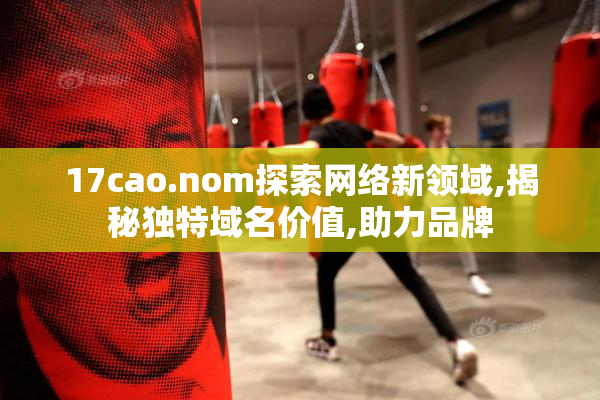 17cao.nom探索网络新领域,揭秘独特域名价值,助力品牌