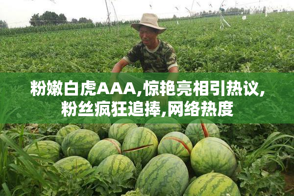 粉嫩白虎AAA,惊艳亮相引热议,粉丝疯狂追捧,网络热度