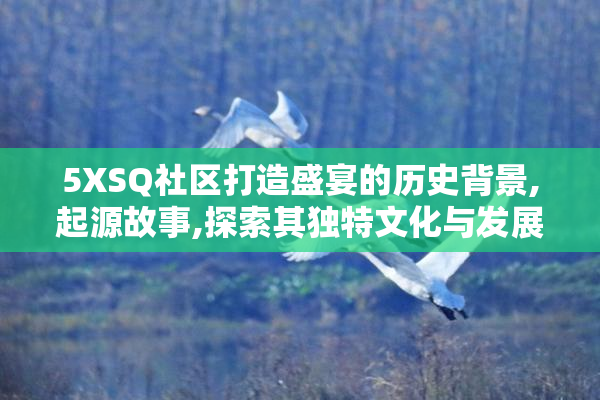 5XSQ社区打造盛宴的历史背景,起源故事,探索其独特文化与发展历程