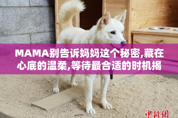 MAMA别告诉妈妈这个秘密,藏在心底的温柔,等待最合适的时机揭晓