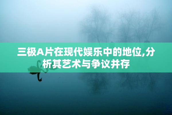 三极A片在现代娱乐中的地位,分析其艺术与争议并存