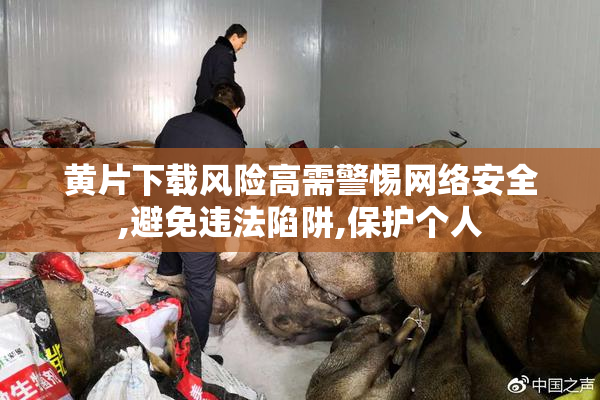 黄片下载风险高需警惕网络安全,避免违法陷阱,保护个人